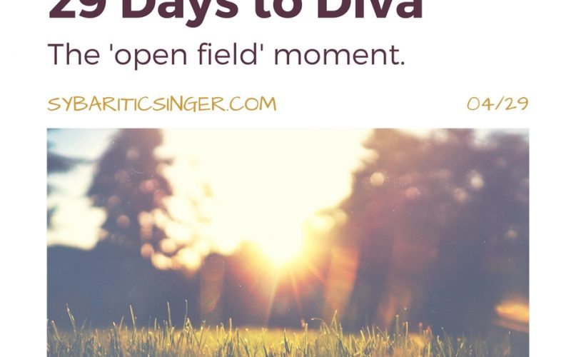 29 Days to Diva | Sybaritic Singer | www.sybariticsinger.com