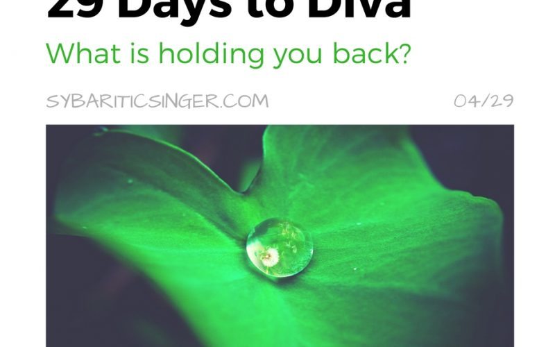 29 Days to Diva | The Sybaritic Singer | www.sybariticsinger.com